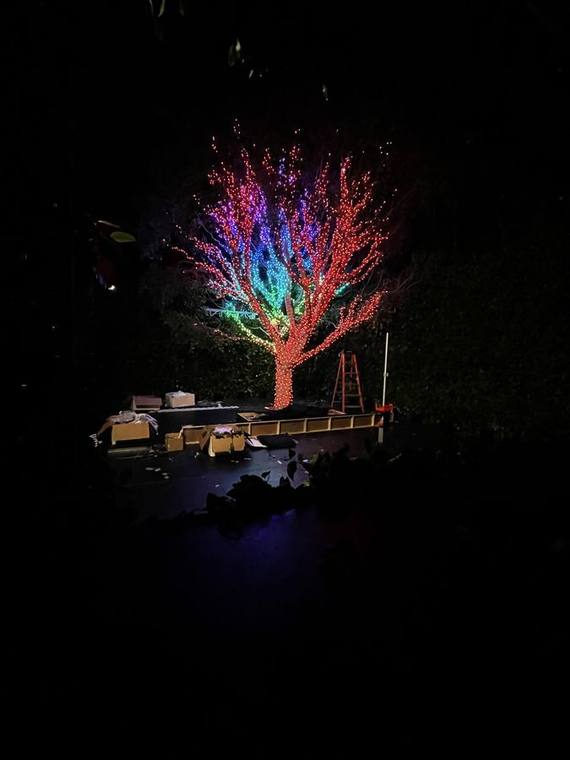 Colour-washed tree, part of an outdoor event build